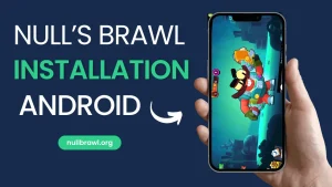 Null’s Brawl Installation
